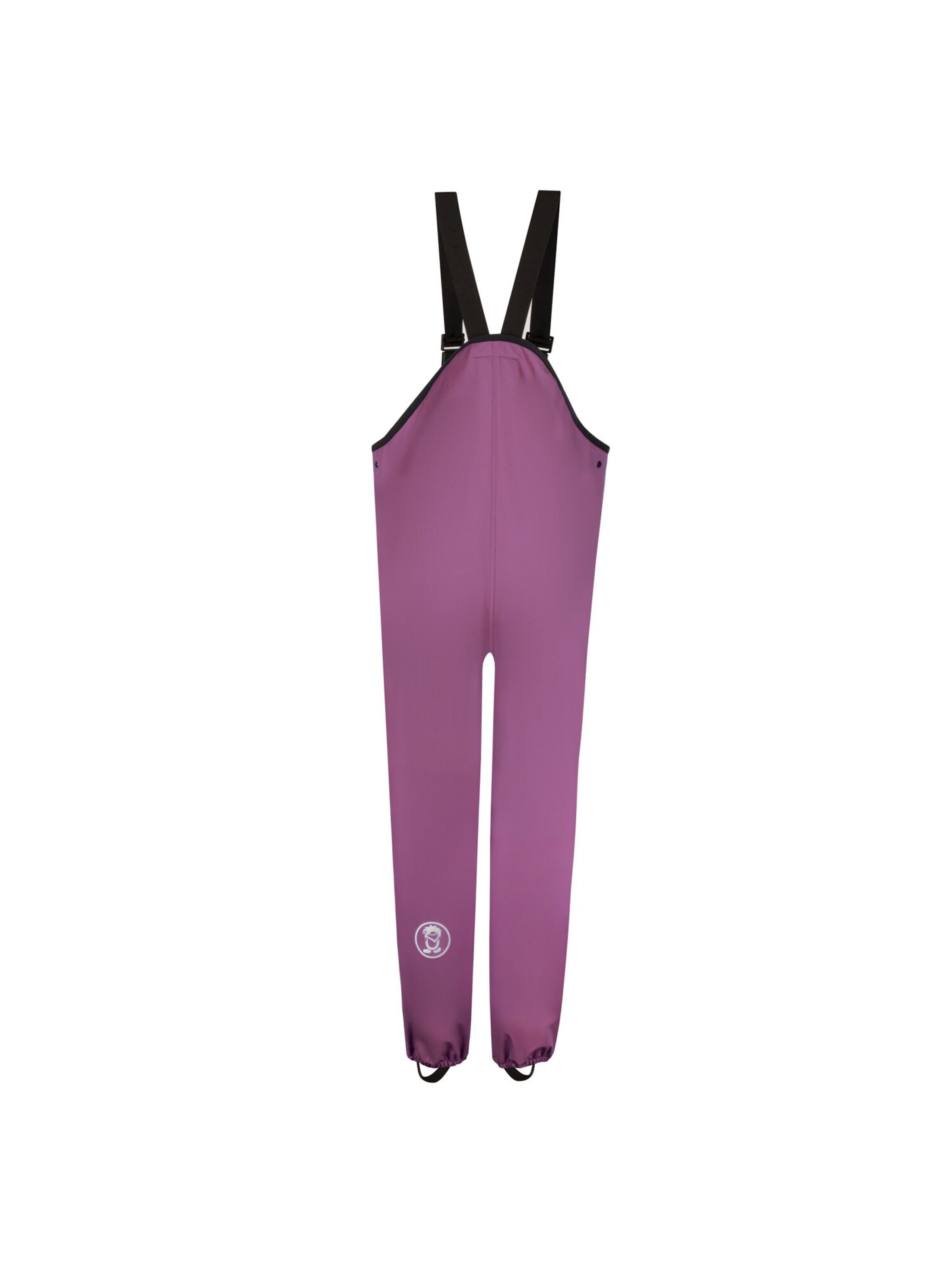TROLLKIDS Regular Outdoor Pants in Purple