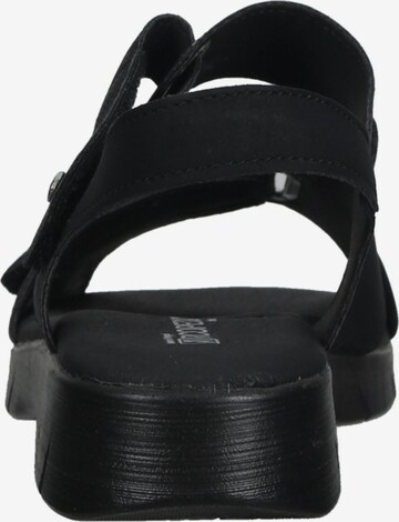 Sandales à lanières Arcopedico en noir