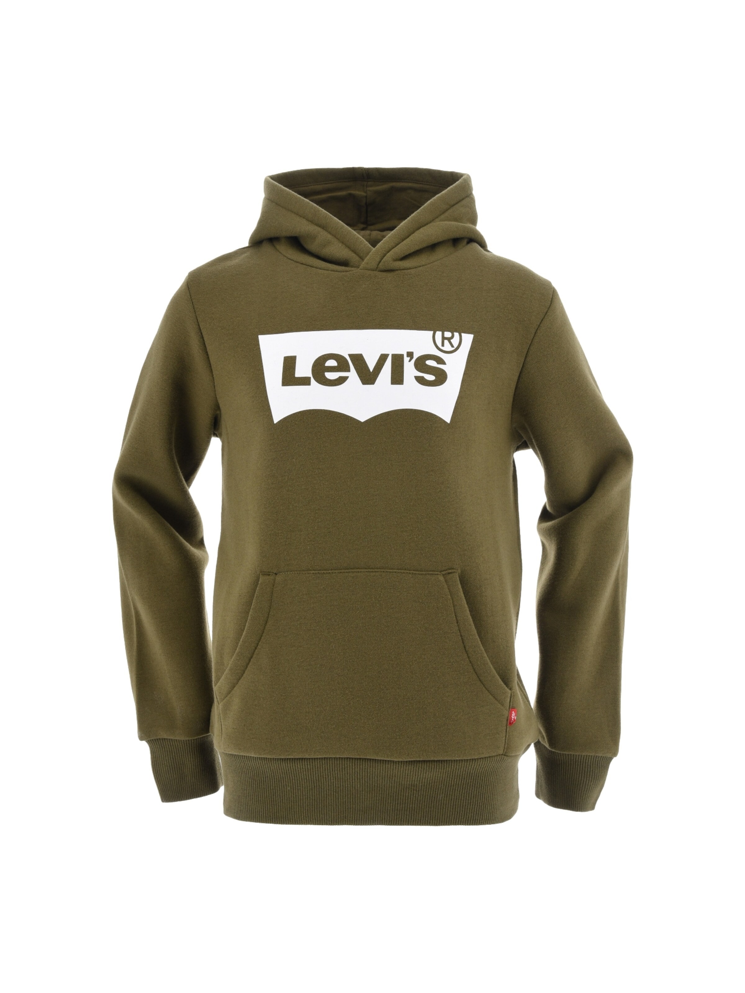 LEVI'S ® Sweatshirt‌‌‌‌ in Grün: Vorderseite