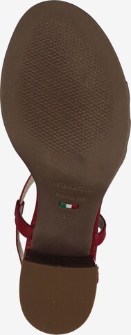 Nero Giardini Strap Sandals in Red