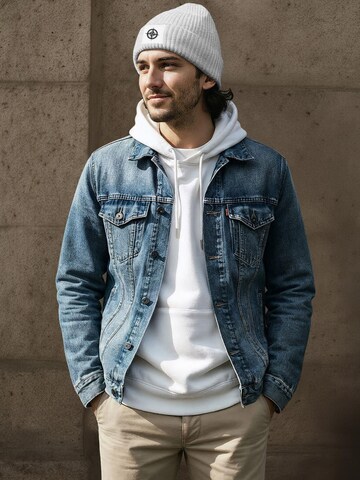 Neverless Beanie 'Kompass' in Grey