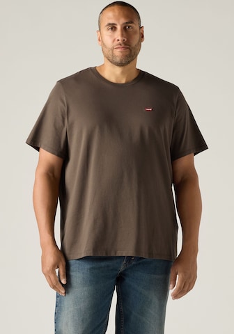 Levi's® Big & Tall Shirt in Braun: Vorderseite