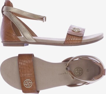 bugatti Sandals & High-Heeled Sandals in 40 in Brown: front