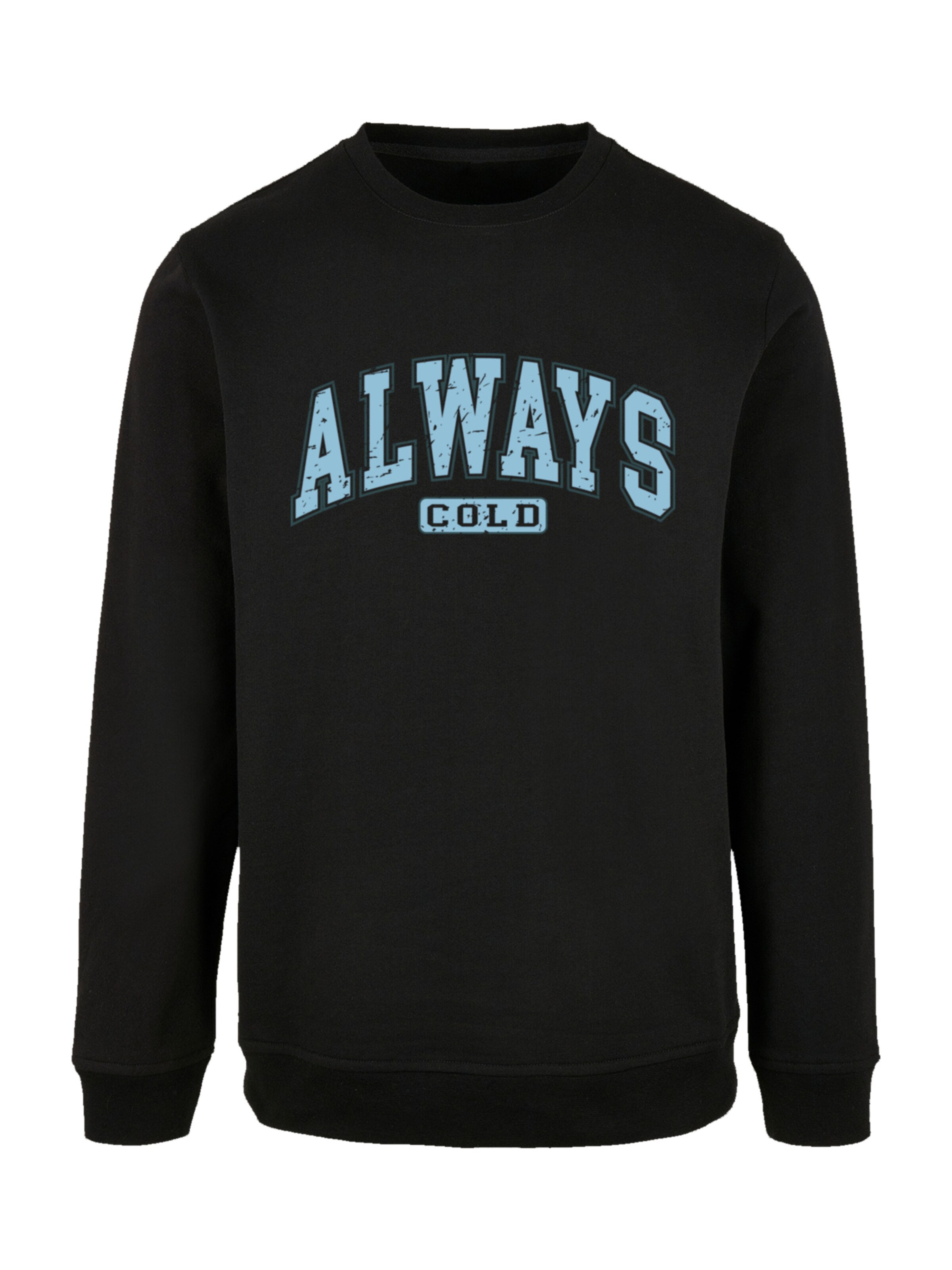 F4NT4STIC Sweatshirt in Black: front