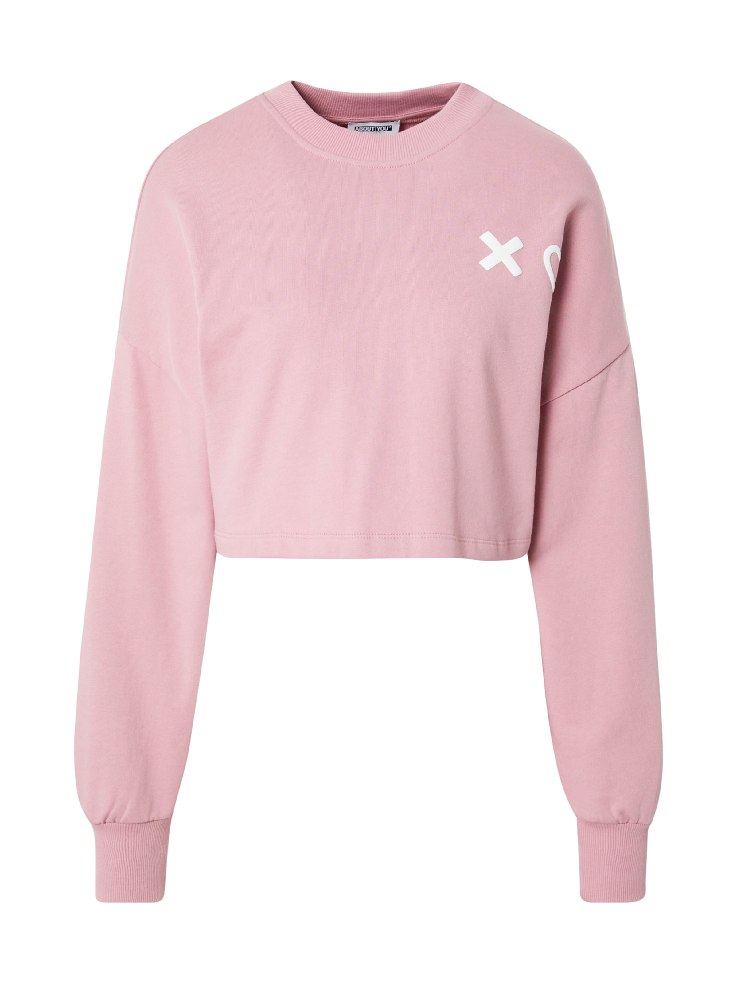 Frauen Sweat Limited Sweater 'Salma' NMWD by WILSN in Pink - GC88360