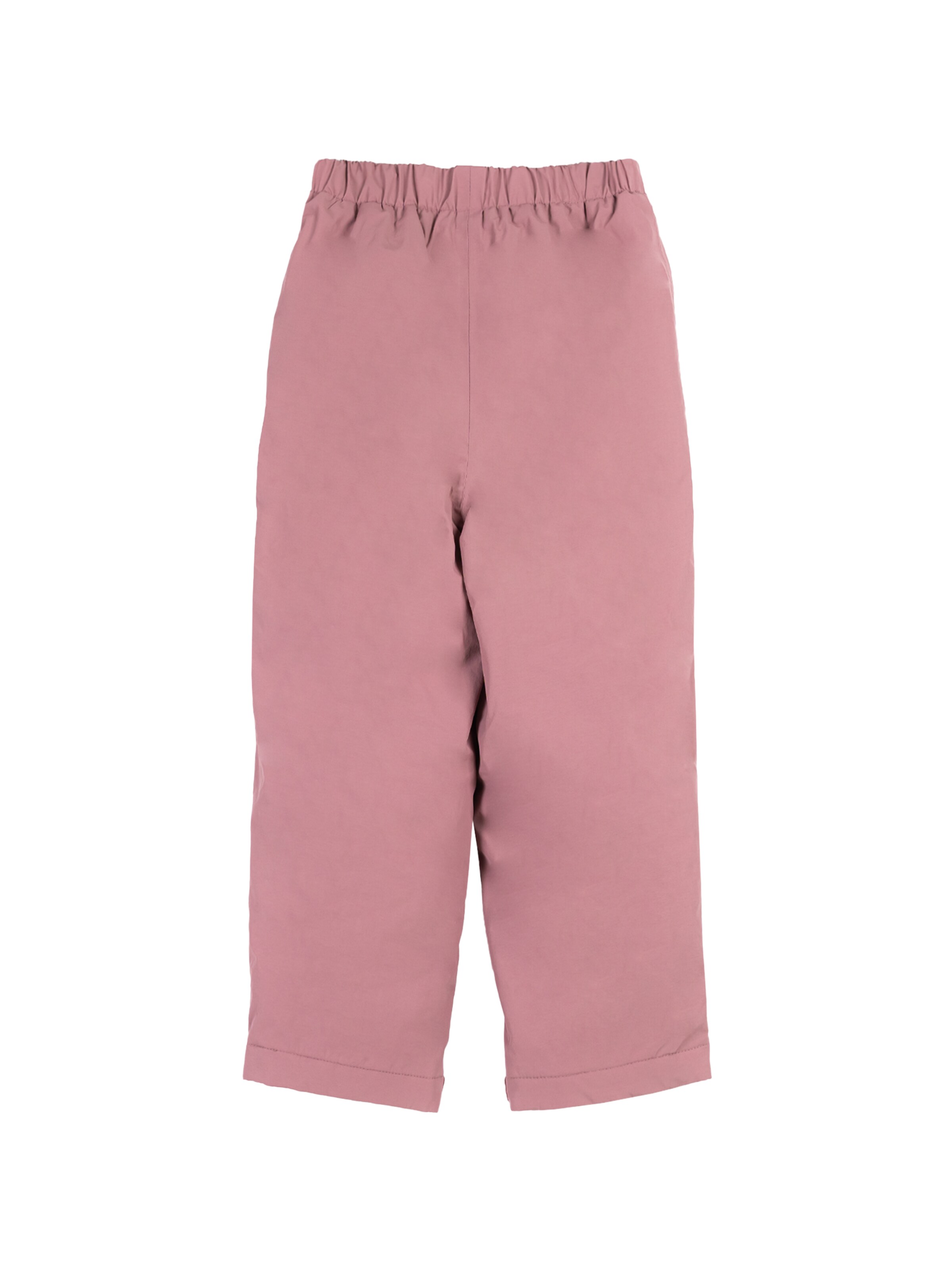 BMS Regular Outdoor Pants in Purple