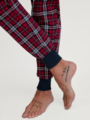 CALIDA Pajama in Blue