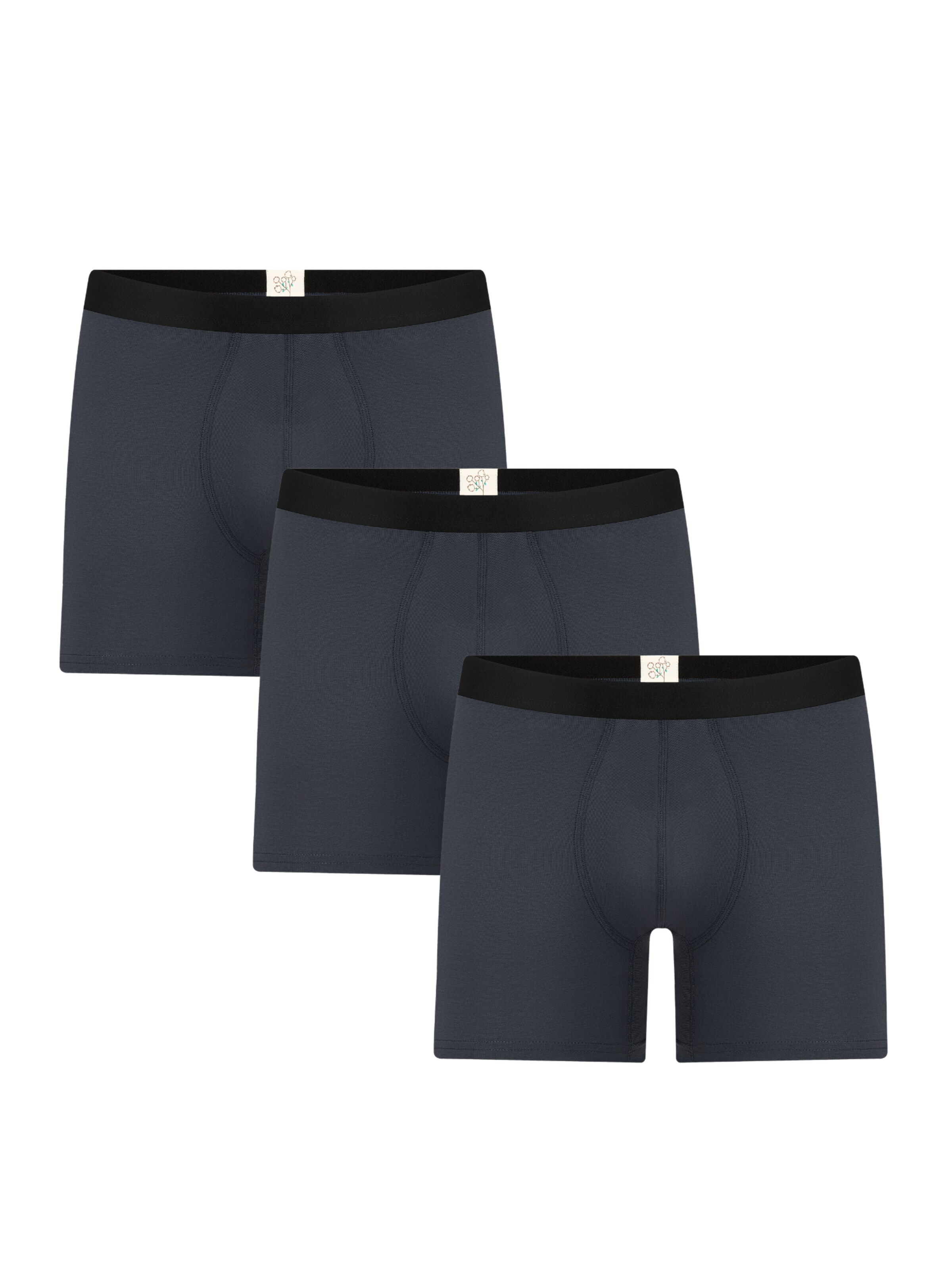 Albero Natur Long Johns 'Long underpants 'Bio-Baumwoll-Herren Long Trunks - 3er Pack'' in Grey: front