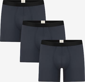 Albero Natur Long Johns 'Long underpants 'Bio-Baumwoll-Herren Long Trunks - 3er Pack'' in Grey: front