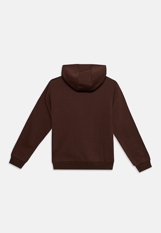 ELLESSE Bluza 'Otternere' w kolorze brązowy