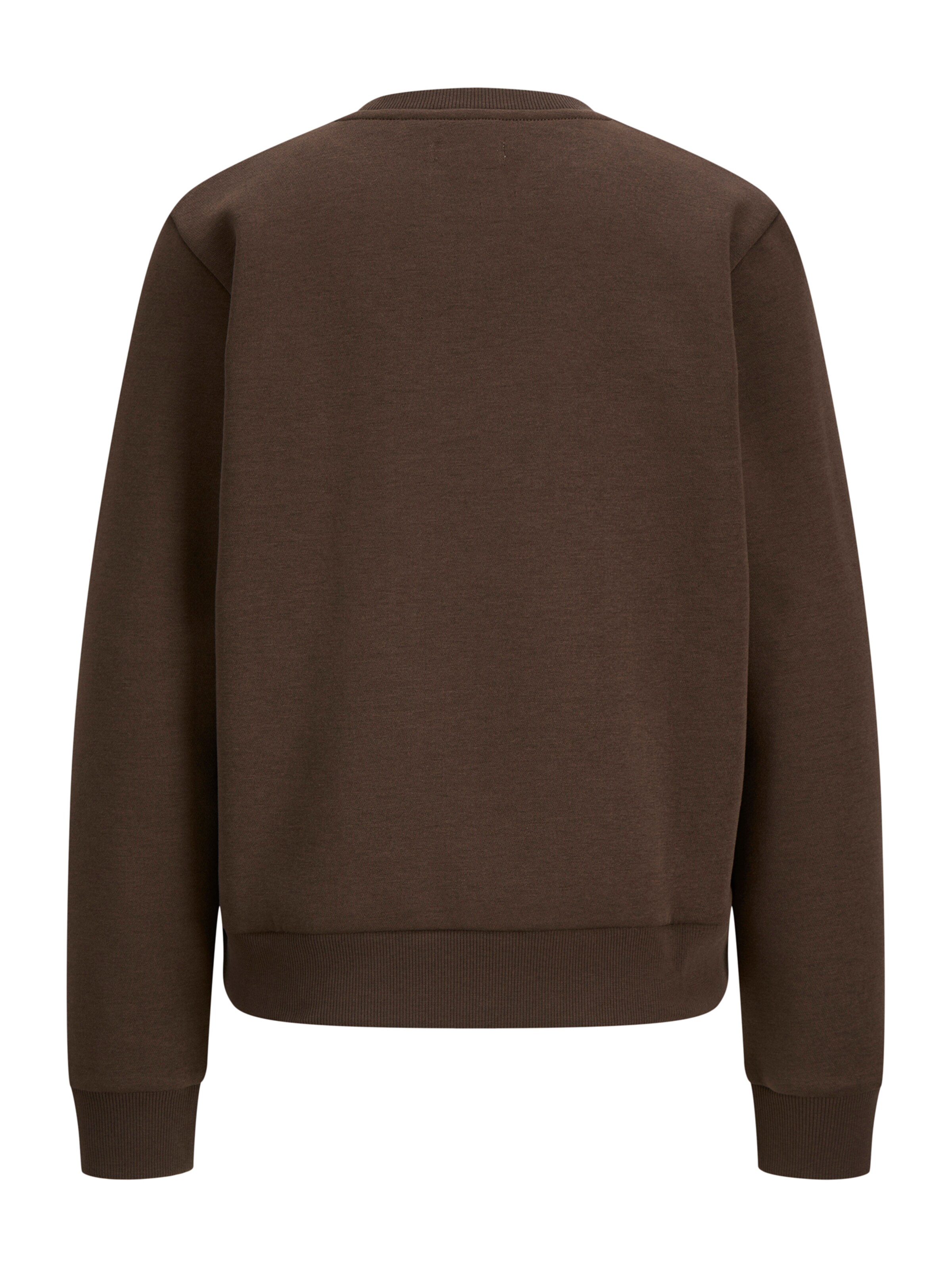 JJ Rebel Sweatshirt 'JREBWVERA' i brun: baksida