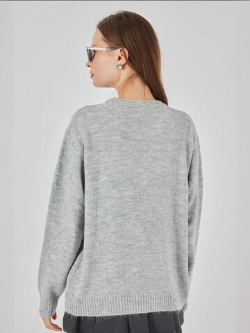 Bigdart Pulover 'Pullover' | siva barva