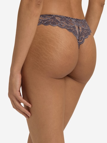 String Hanro en gris