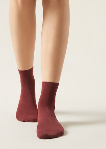 CALZEDONIA Socken in Rot: Vorderseite
