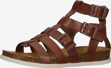 Kickers Strap Sandals in Brown: front