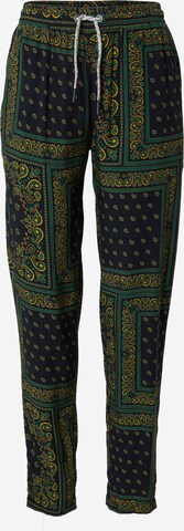 Iriedaily Regular Broek in Blauw: voorkant