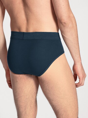 CALIDA Slip 'Cotton 1:1'‌‌‌‌‌‌‌‌‌ in Schwarz