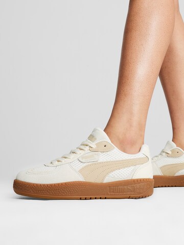 PUMA Sneakers laag 'Palermo Moda' in Wit
