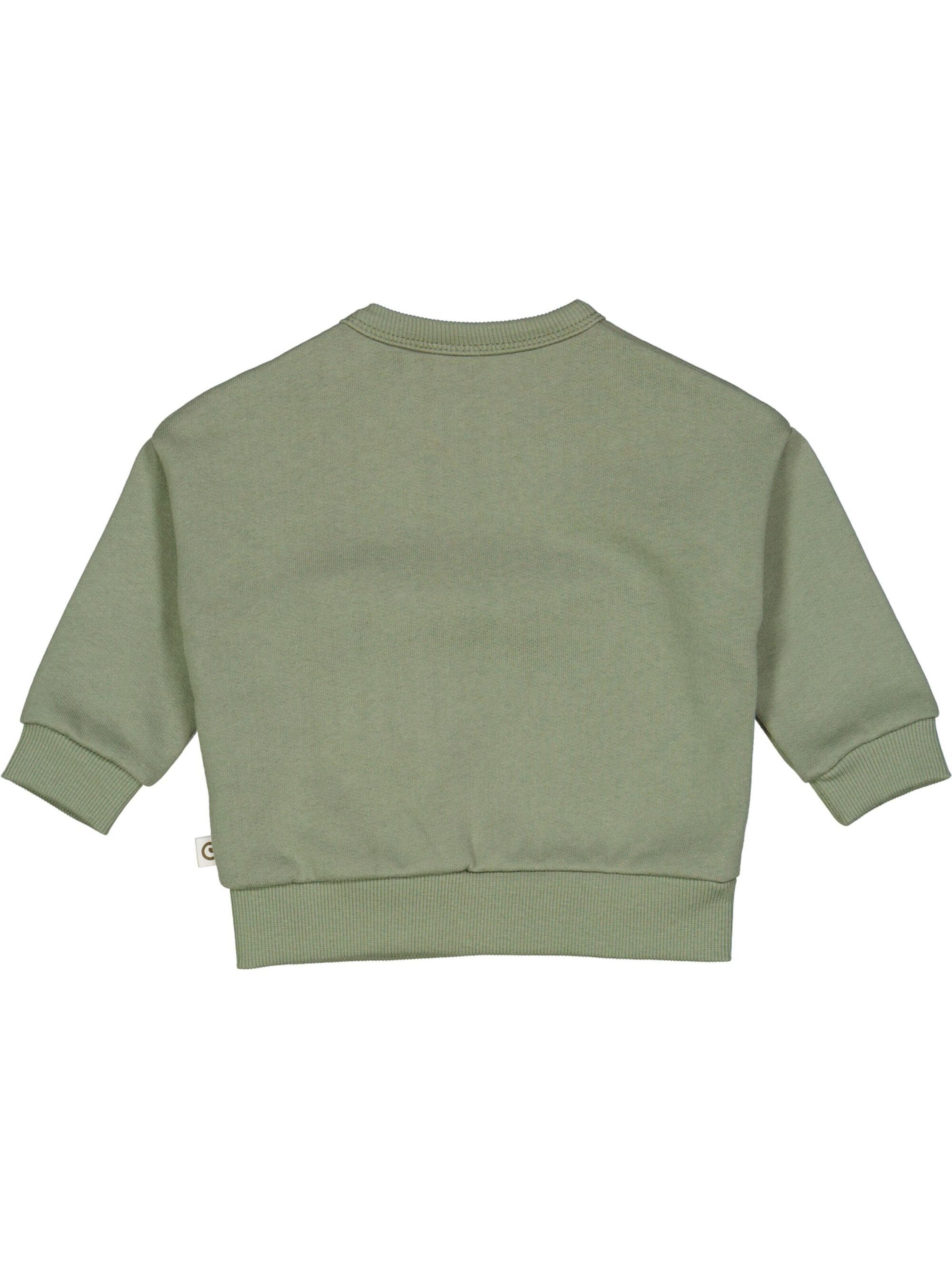 Müsli by GREEN COTTON Sweatshirt in Groen