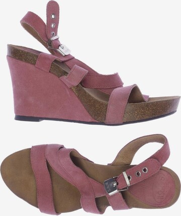 SCHOLL Sandals & High-Heeled Sandals in 38 in Pink: front