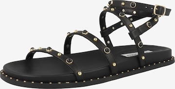 STEVE MADDEN - Sandálias com tiras 'Stormie' em preto: frente