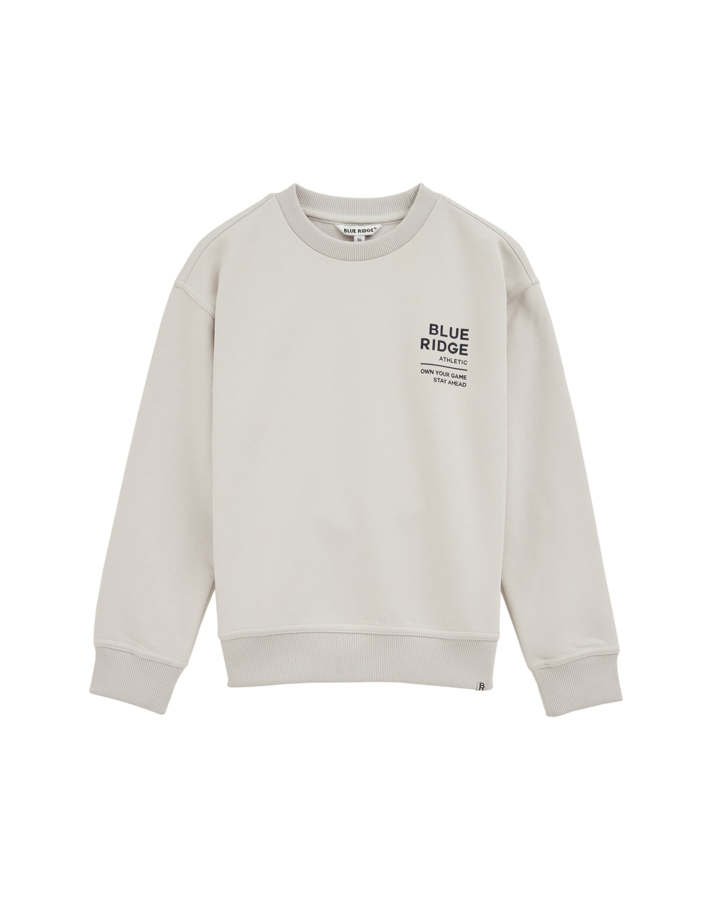 WE Fashion Sweatshirt in Grey: front