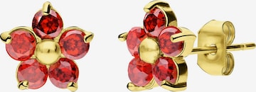 Lucardi Oorbellen 'Münze' in Goud: voorkant