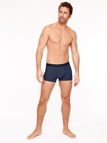 HOM Boxershorts 'Max' in Blauw: voorkant