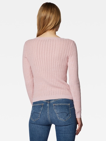 Mavi Sweater in Pink