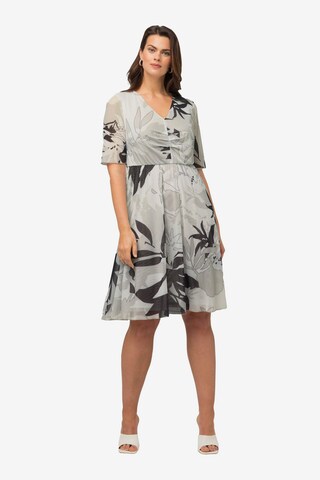 Robe Ulla Popken en gris : devant