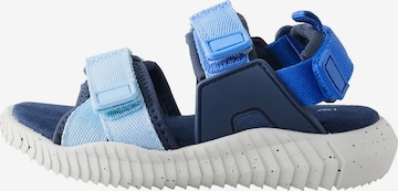 Next Avonaiset kengät värissä sininen: etupuoli