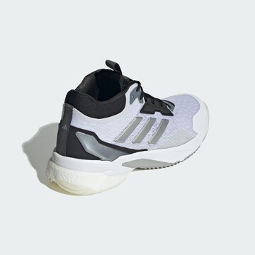Chaussure de sport 'Crazyflight 5' ADIDAS PERFORMANCE en blanc