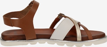 SPM Strap Sandals in Brown