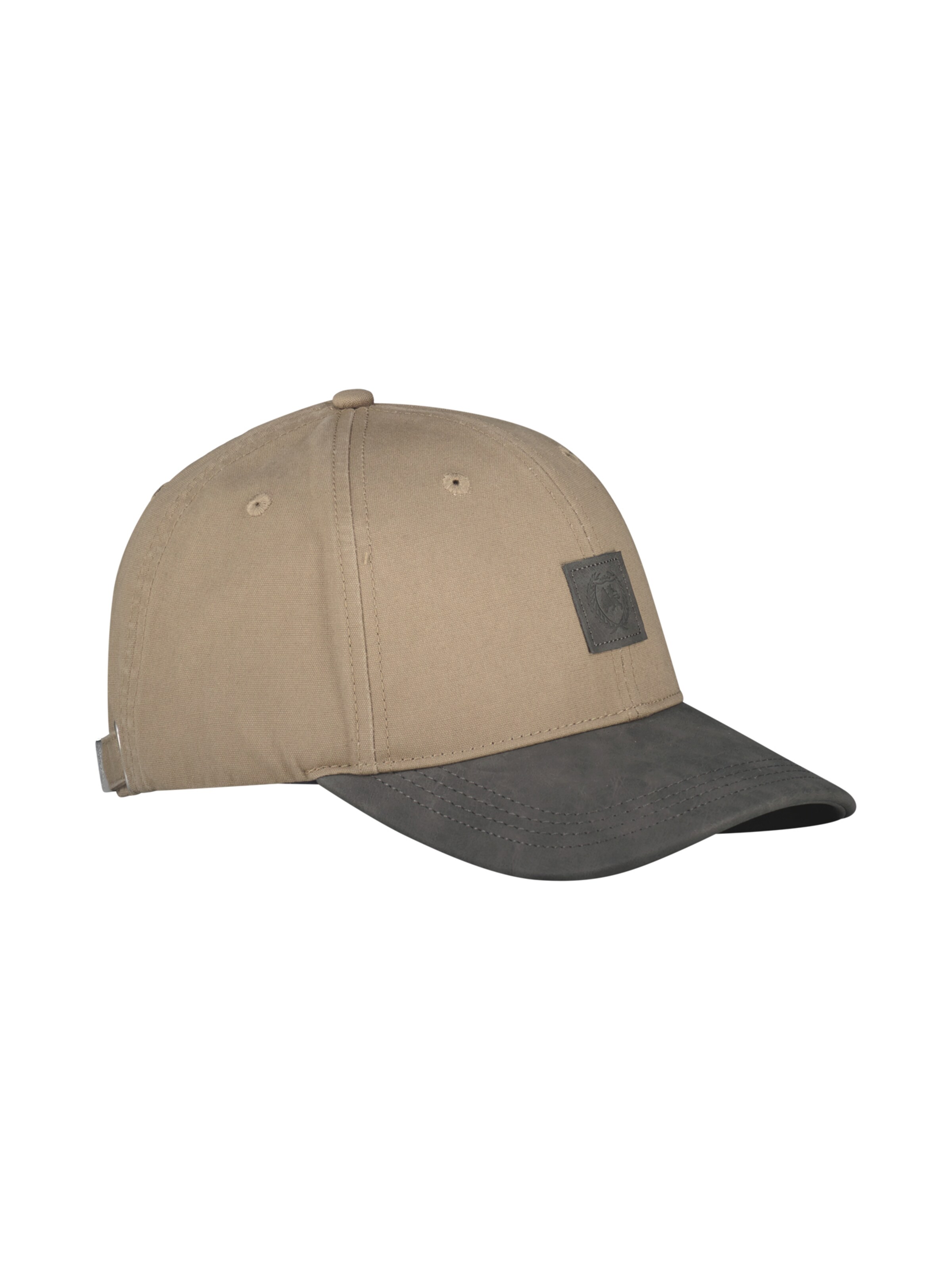LERROS Pet in Beige
