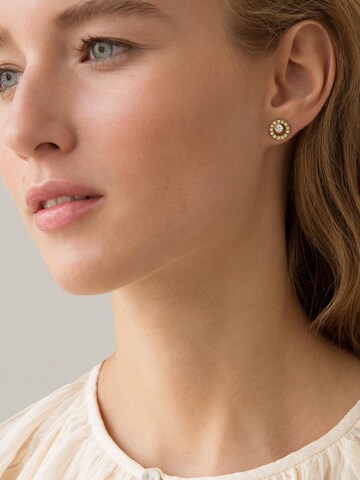 day berlin Earrings 'Stone' in Gold