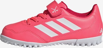 ADIDAS PERFORMANCE Sports shoe 'Youngstar' in Pink: front