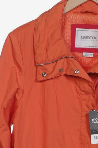 GEOX Jacke L in Orange