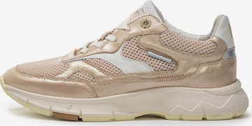 Floris van Bommel Sneakers 'Daysi 03' in Gold: front