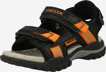 GEOX Sandals & Slippers 'BOREALIS' in Black: front