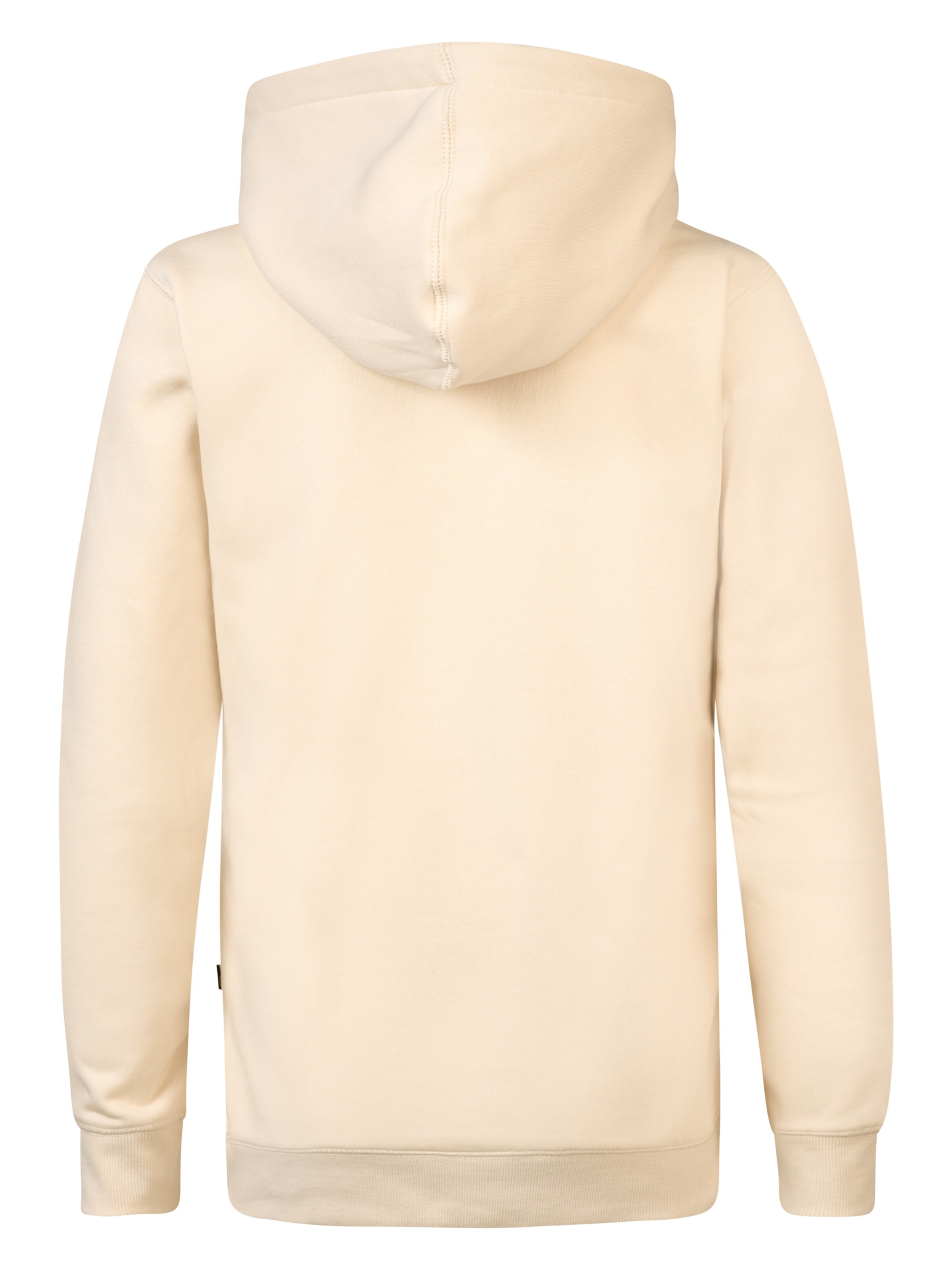 Petrol Industries Sweatshirt 'Fishhook' in Brown