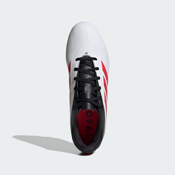 Chaussure de foot 'Copa Pure III Club' ADIDAS PERFORMANCE en blanc