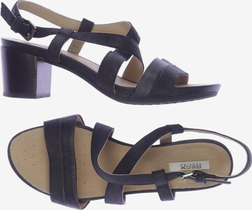 GEOX Sandals & High-Heeled Sandals in 36 in Black: front