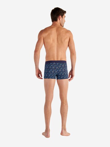 Boxers ' Elvis ' HOM en bleu