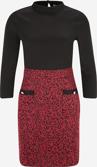 Dorothy Perkins Petite Kleid in rot / schwarz, Produktansicht