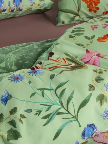 ESSENZA Bettbezug in Grün