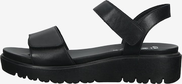 ARA Sandals in Black