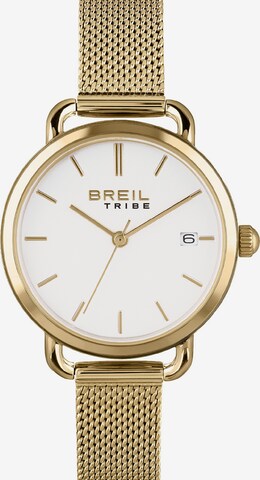 Breil Analog Watch 'ELIZA' in Gold: front