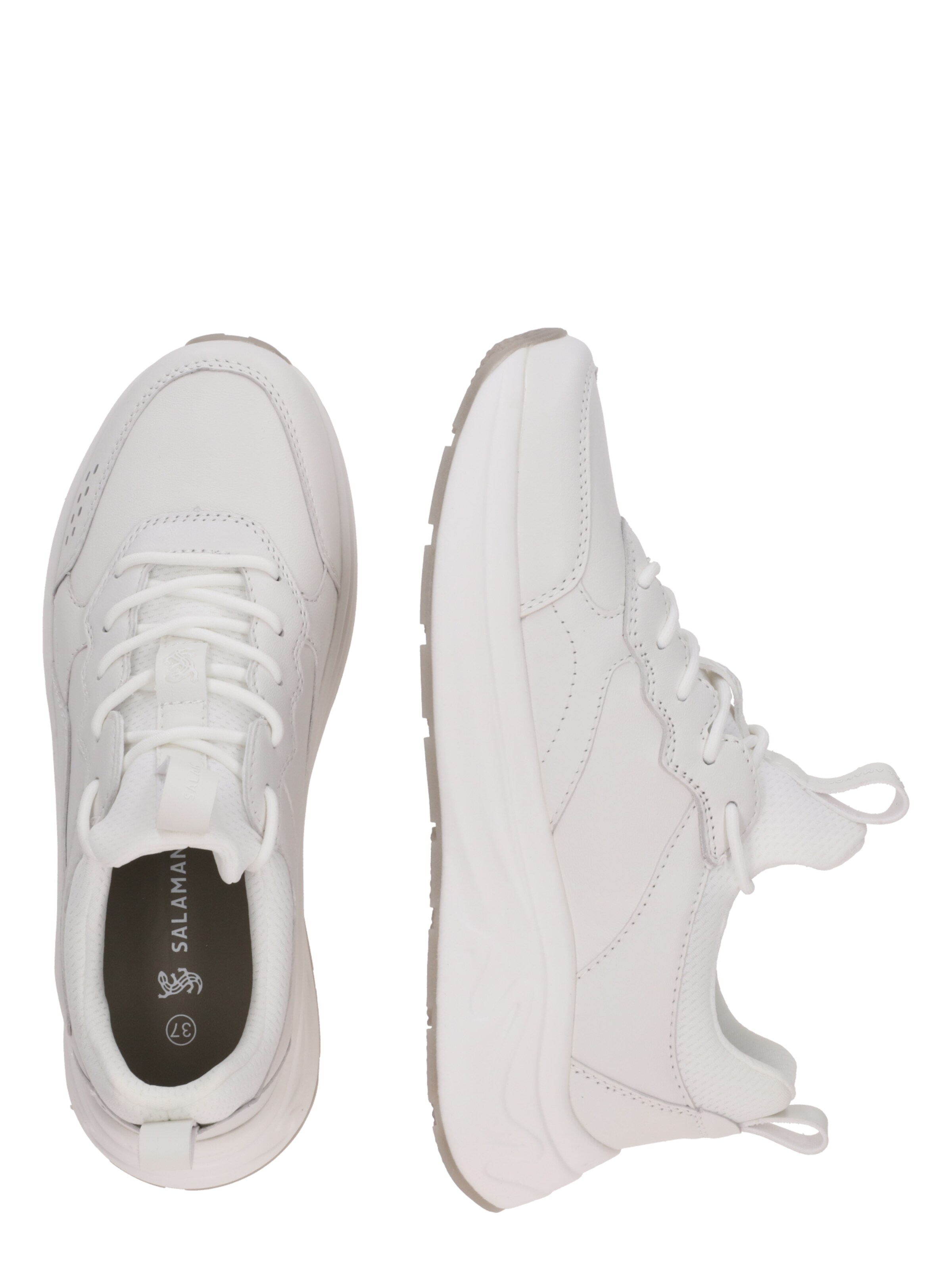 Baskets basses SALAMANDER en blanc