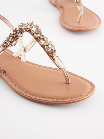 Next Teenslipper in Goud