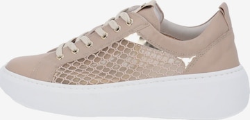 Baskets basses Nero Giardini en beige : devant